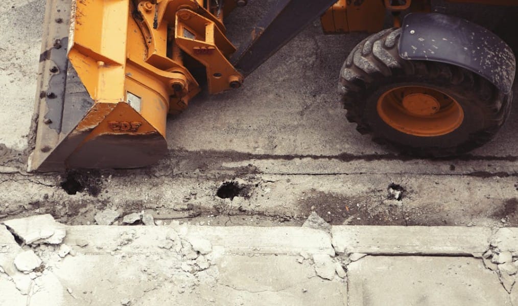 Demolition Services Moreton Shire – Angry Ant Tree