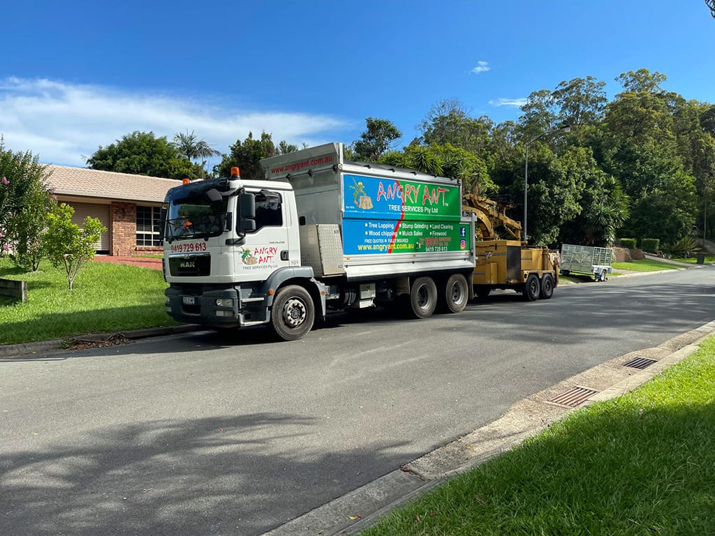 Angry Ant Dump Truck In Service