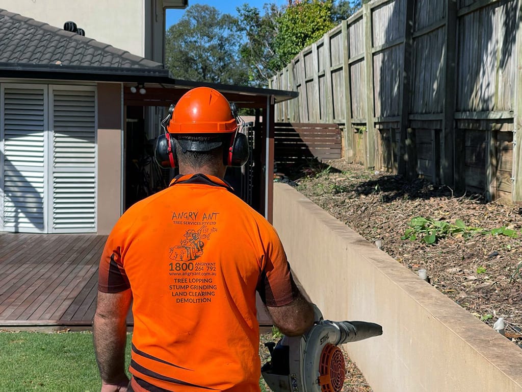 Angry Ant Professional Service