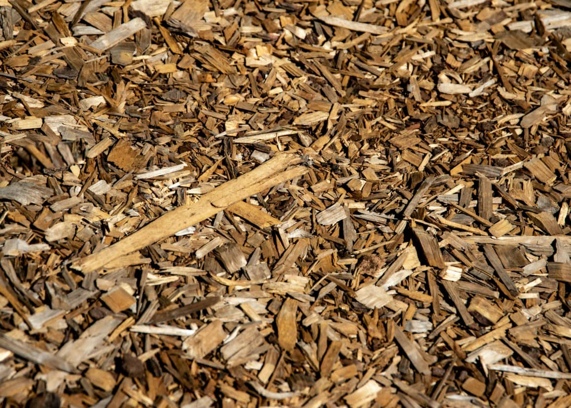 Bark on the Ground