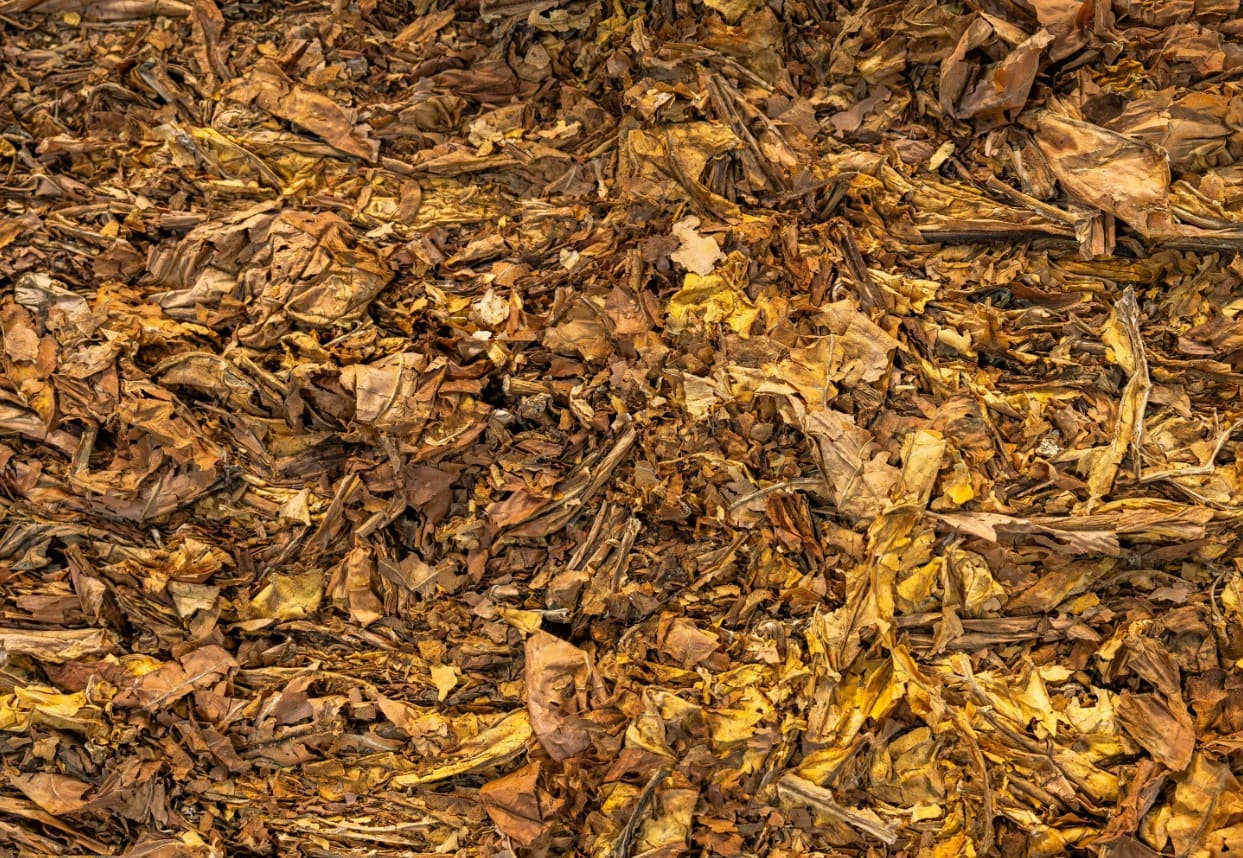 pile of leaves mulch