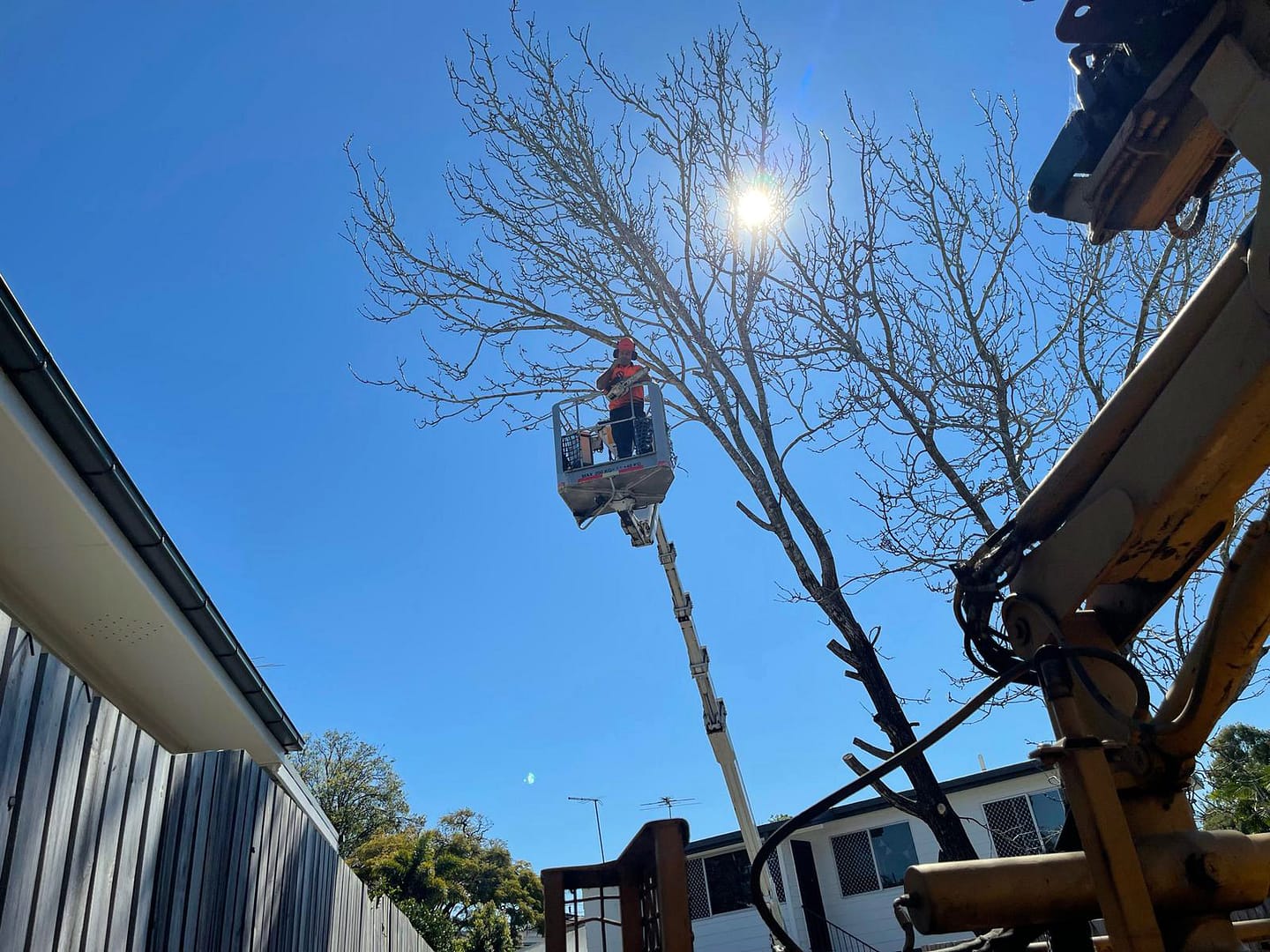 tree-lopping-process-with-a-crane-ladder