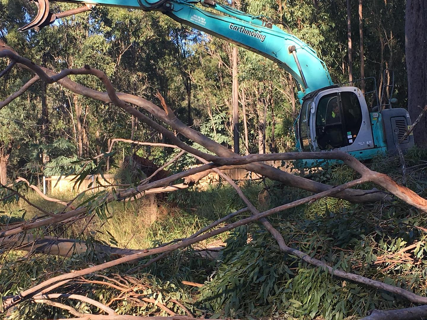 expert land clearing solutions by angry ant