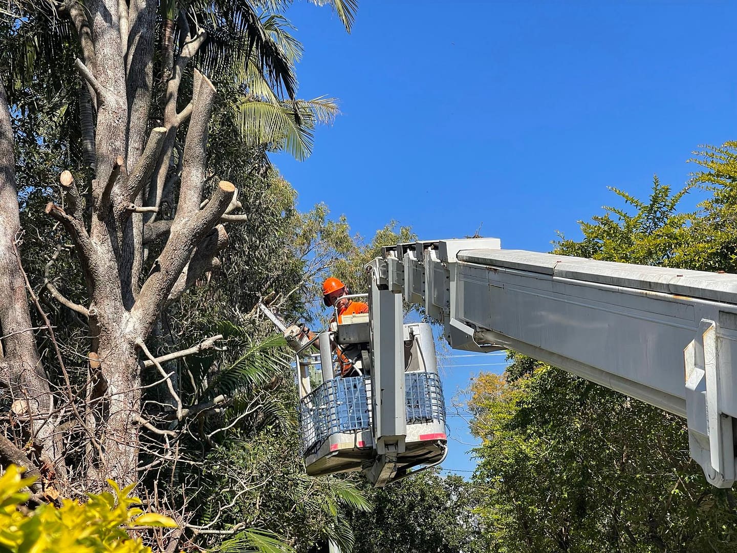 Angry Ant Tree Services at work with equipment