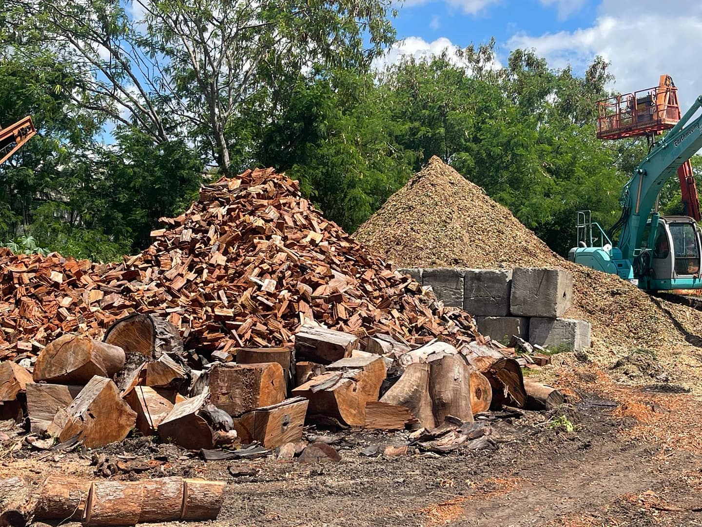 Angry Ant Tree Services offers top-notch firewood