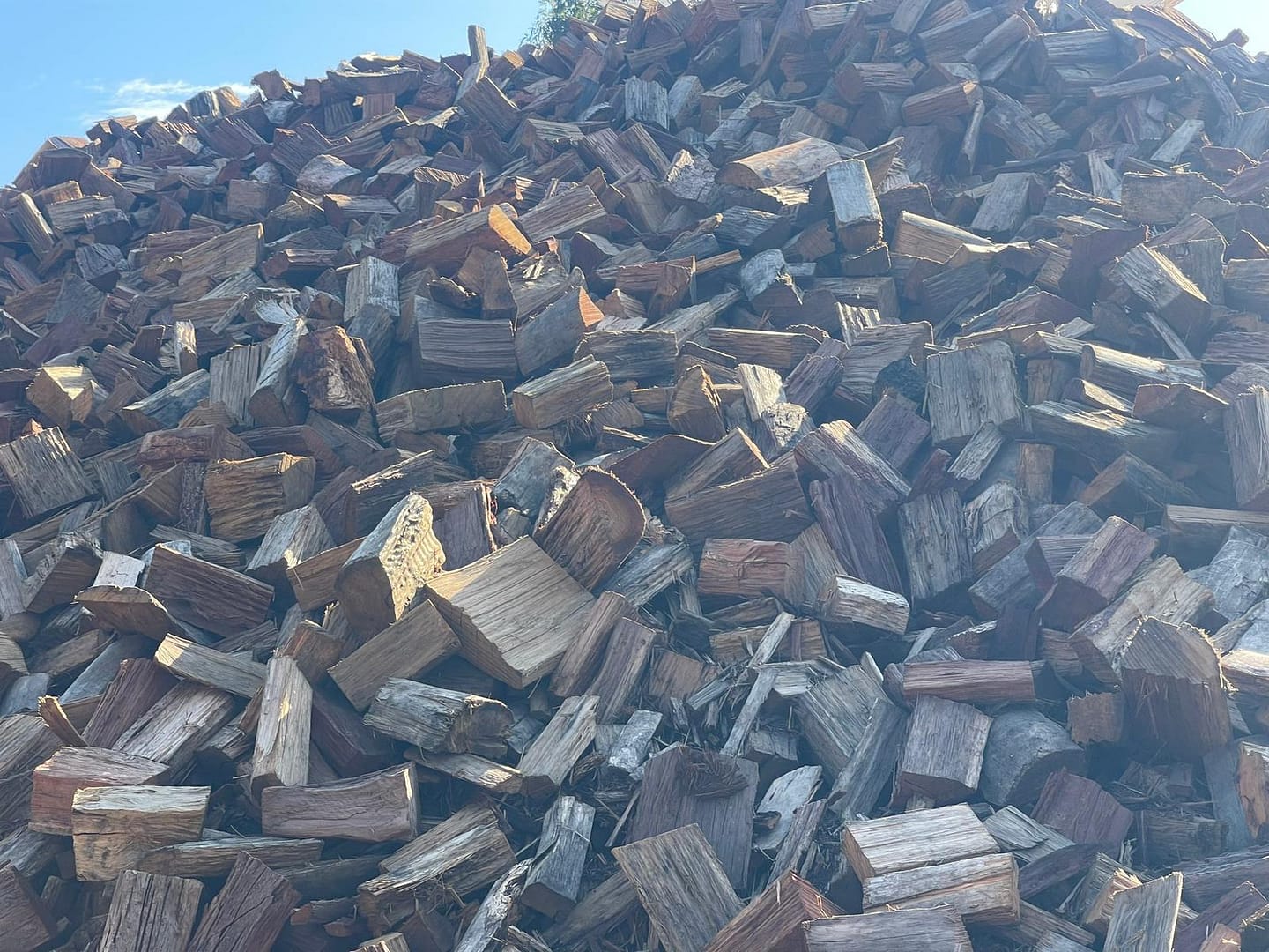 Angry Ant top-notch firewood for all your needs. .