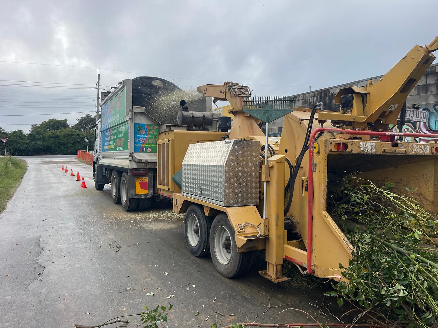 Discover expert wood chipping services by Angry Ant Services