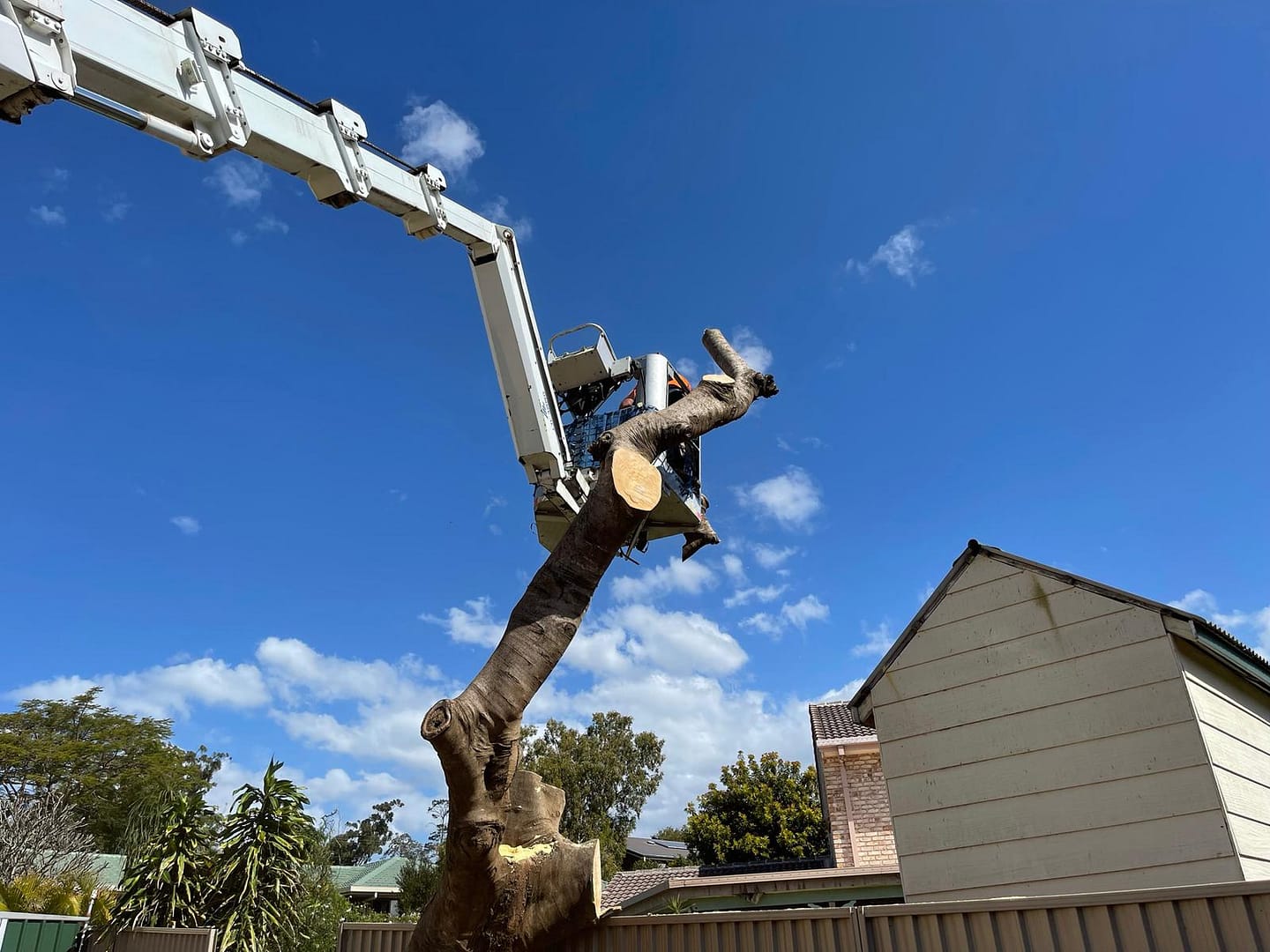 Equipment at work with Angry Ant Tree Services