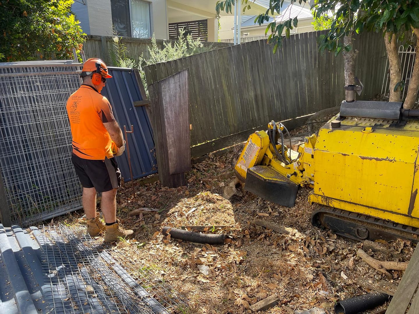 reliable tree stump removal