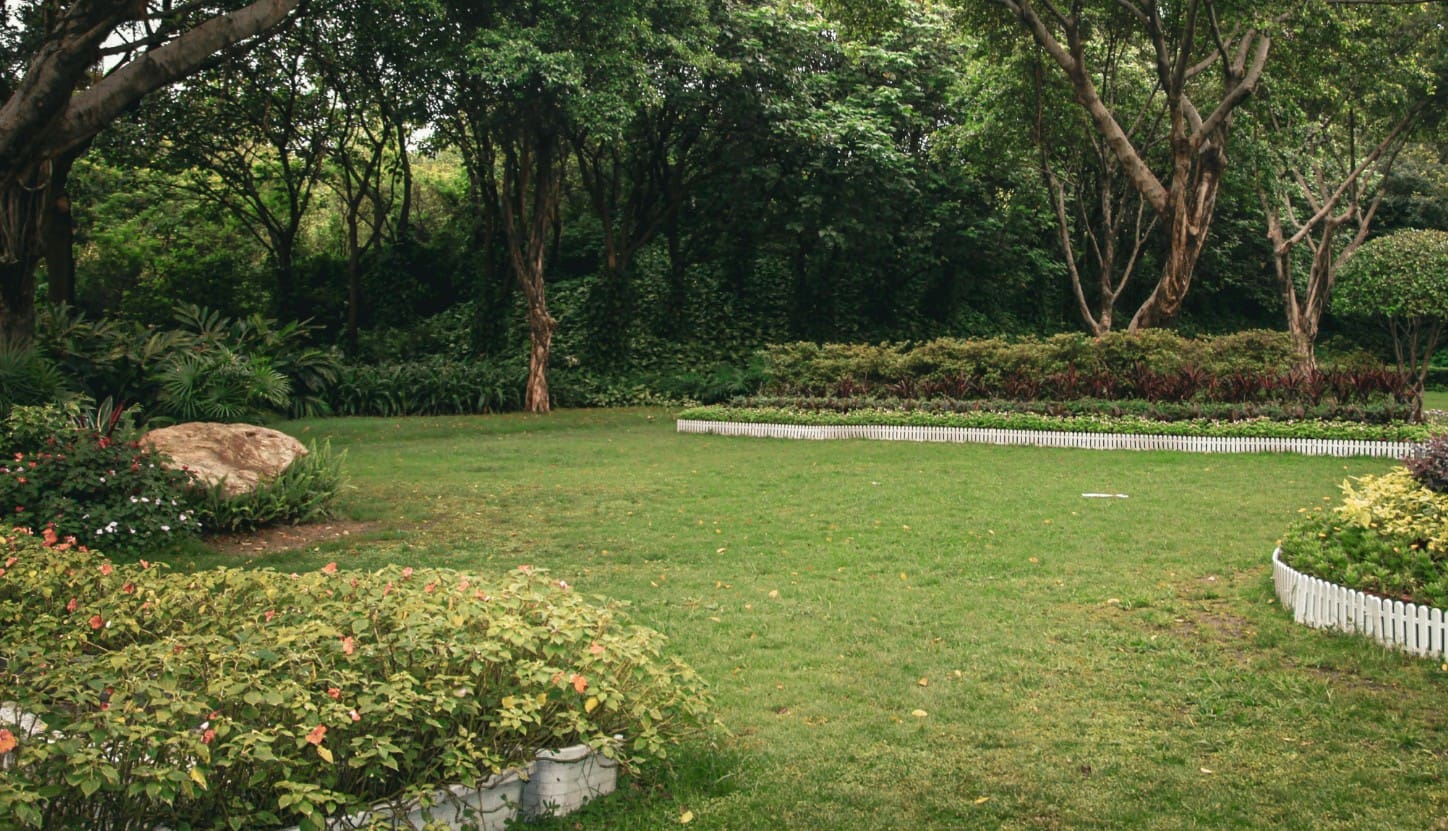 Trees, Shrubs and Lawn in a Garden