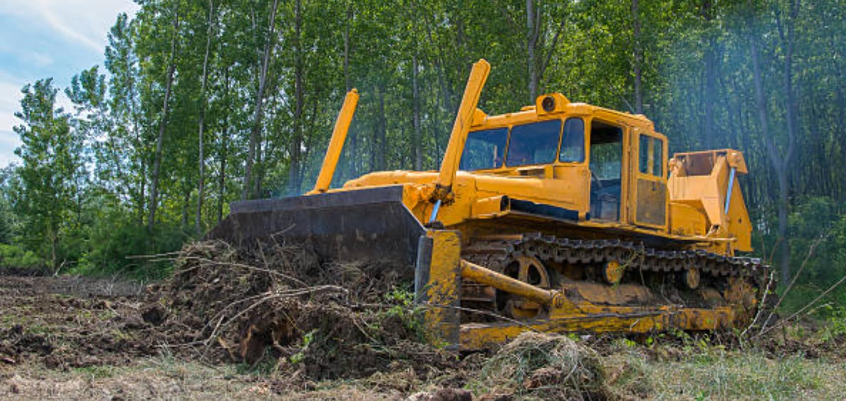Land Clearing Bribie Island