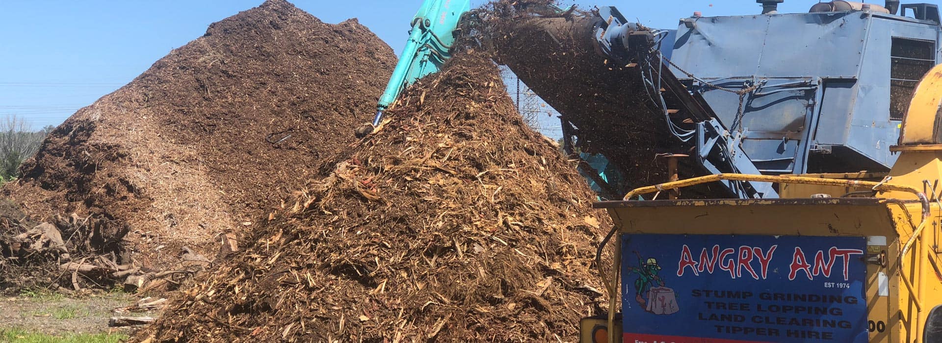 forest mulch sales