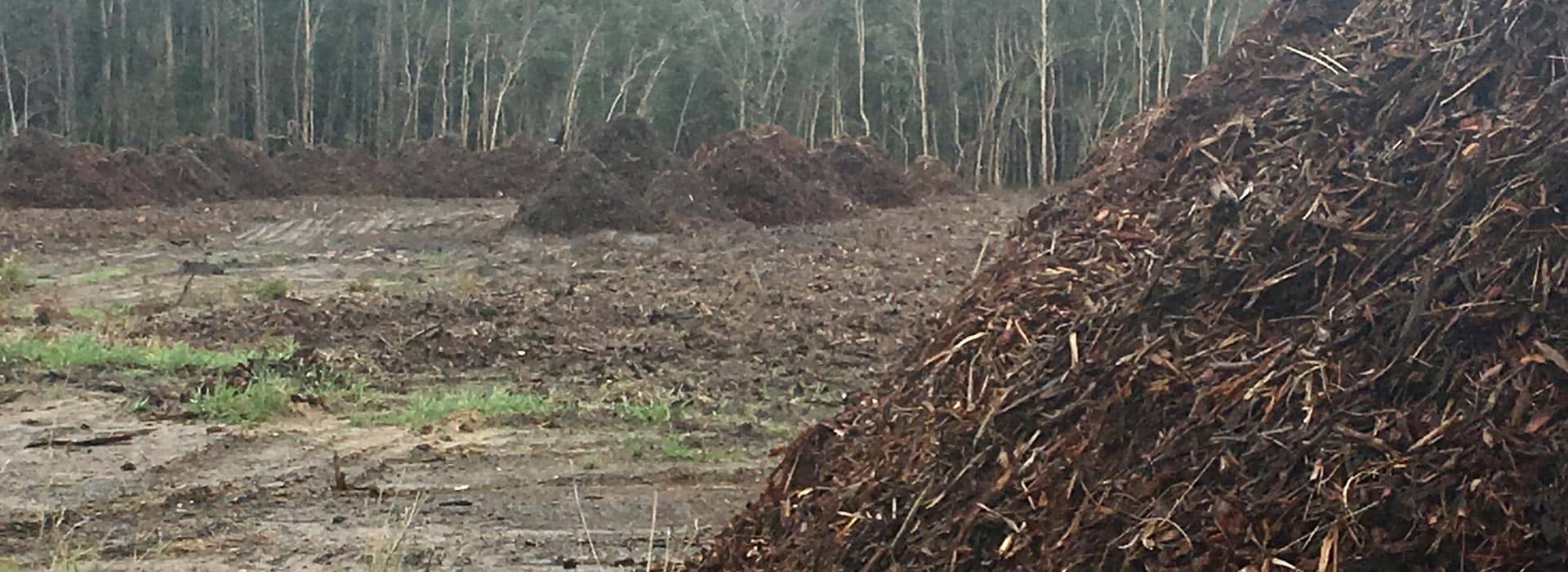 land and tree clearing