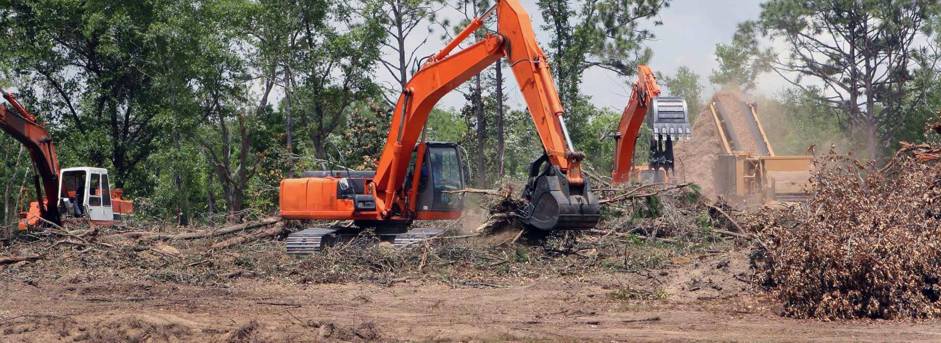 land cleaning