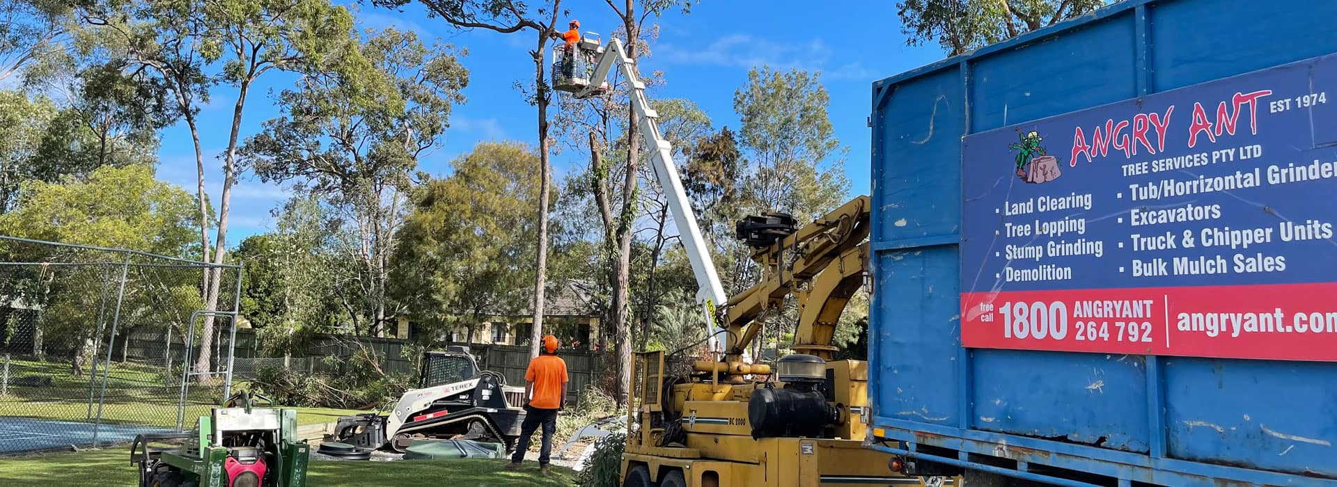 Angry Ant Cherry Picker Tree Removal