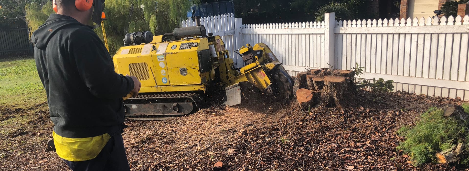 tree stump grinding