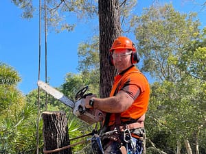 tree lopping using a hand held chainsaw