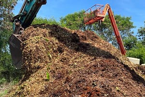 forestmulch