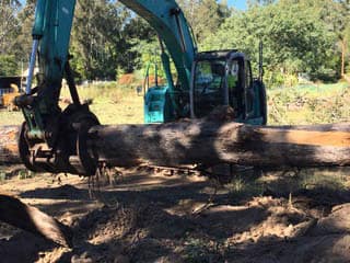expert land clearing services at Angry Ant Tree Services