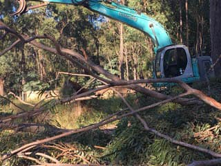 stunning land clearing image