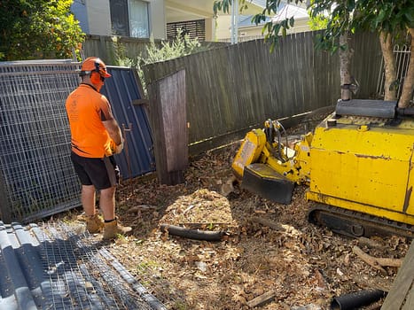 reliable tree stump removal