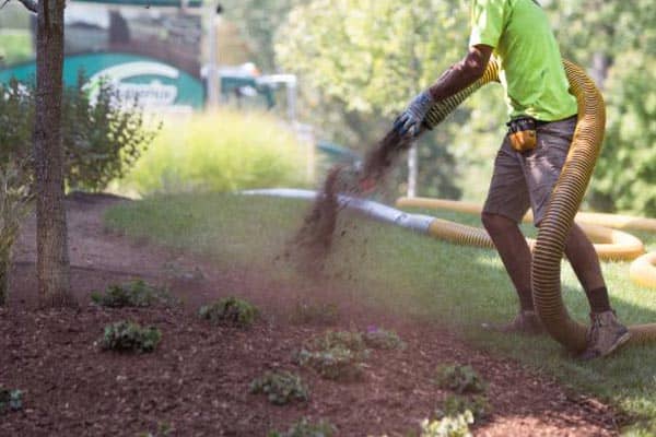 Discover the benefits of mulch blowing with Angry Ant Services