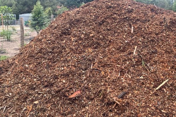 forest mulch from Angry Ant Services