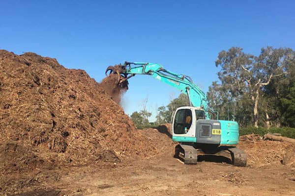 tree mulching