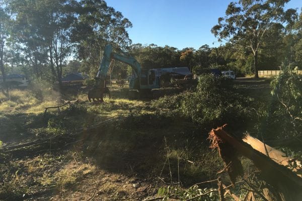 view of land clearing image from Angry Ant Tree Services