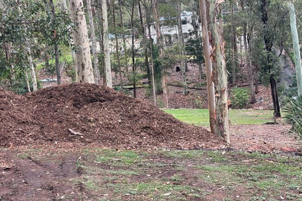 Large pile of mulch in a bushland backyard with tall eucalyptus trees and green grass