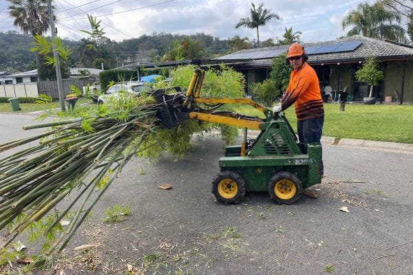Worker removing bamboo using kanga in suburban yard