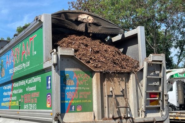 Forest mulch loaded into Angry Ant truck and distributed by excavator