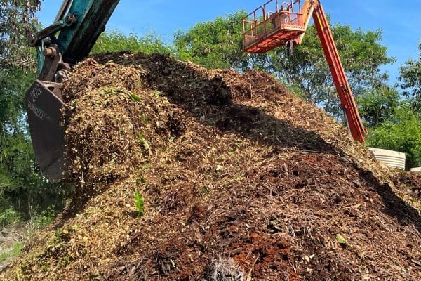 Forest mulch loaded into Angry Ant truck and distributed by excavator