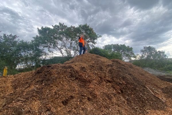 Large pile of eco-friendly forest mulch with man and child standing on top