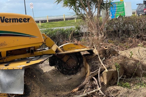 Vermeer stump grinder in action near commercial site in Brisbane.