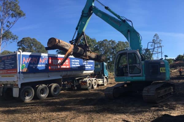 excavator pulling a tree