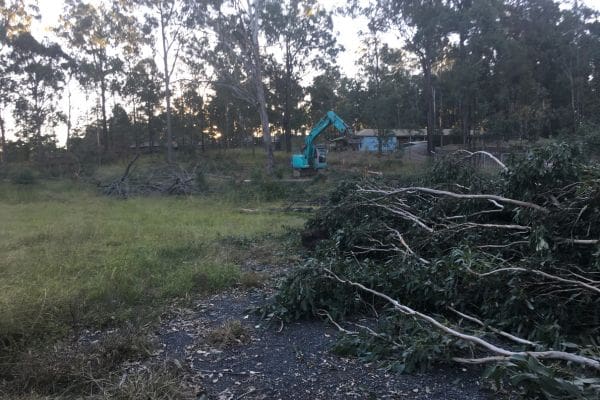 land clearing and tree branch removal