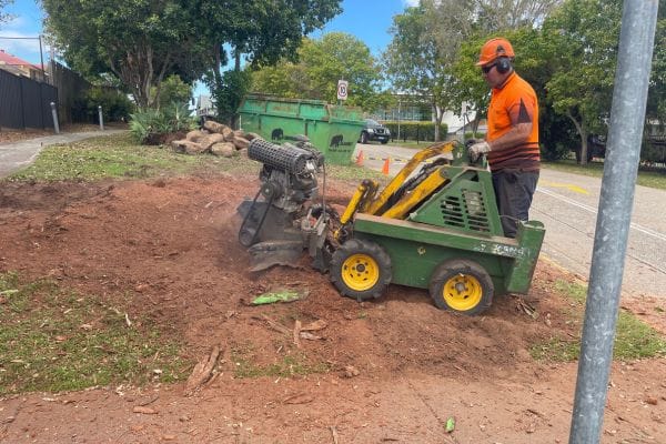 stump grinding and landscaping development