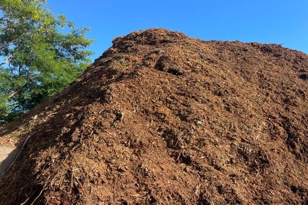 Large pile of forest mulch under clear blue sky with surrounding trees