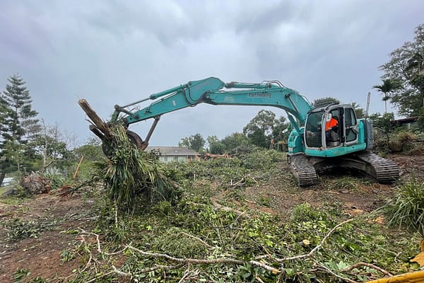 Expert land clearing ensures a clean slate for your next project