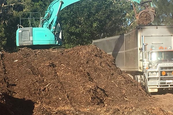 forest mulch at Angry Ant Services