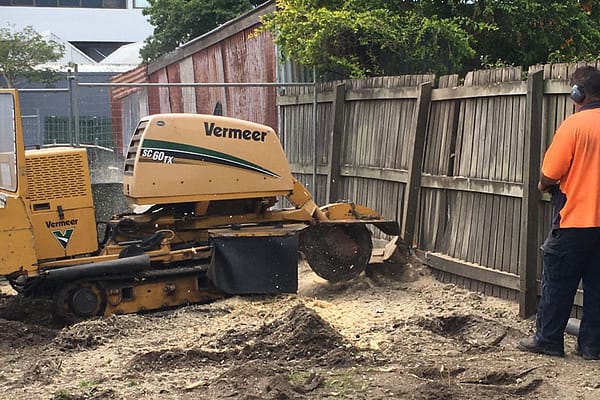 stump grinder in operation