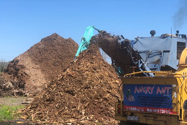 top-notch forest mulch