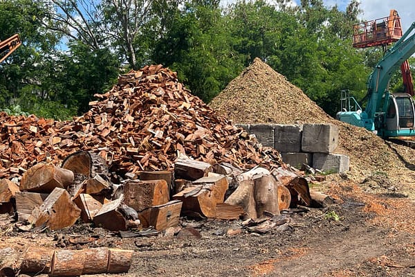 Angry Ant Tree Services offers top-notch firewood