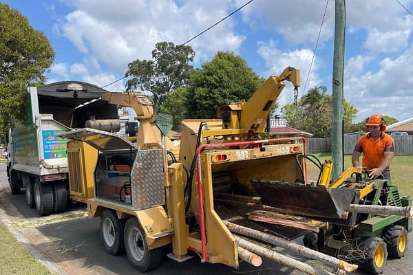 Angry Ant Tree Services offers top-notch wood chipping to enhance your landscape
