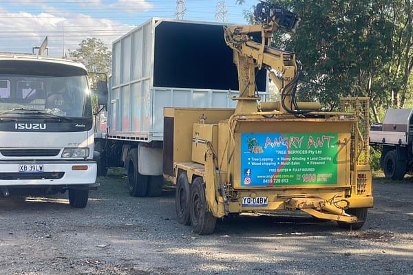 Discover expert wood chipping services by Angry Ant Tree Services