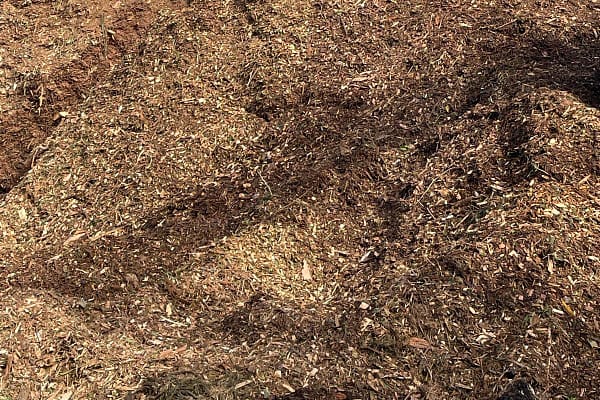 forest mulch at Angry Ant Tree Services