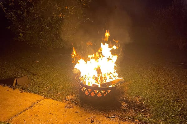 Discover premium firewood from Angry Ant Services