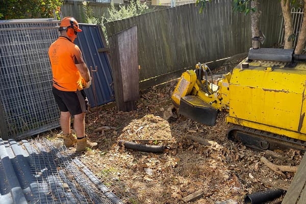 reliable tree stump removal