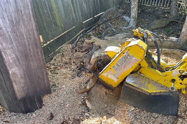stump grinding machine at work by angry ant tree services